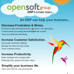 OpenSoft Group Excelitis Flyer